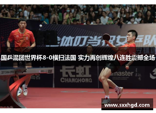国乒混团世界杯8-0横扫法国 实力再创辉煌八连胜震撼全场