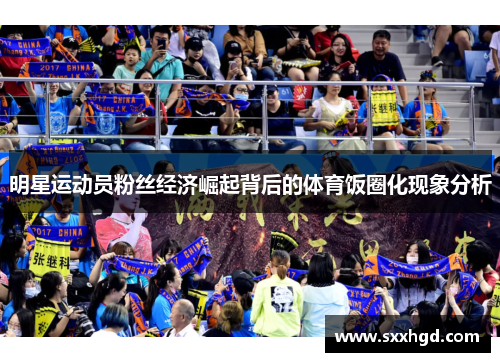 明星运动员粉丝经济崛起背后的体育饭圈化现象分析