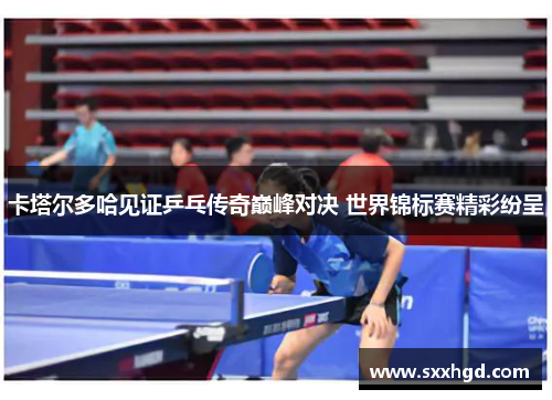 卡塔尔多哈见证乒乓传奇巅峰对决 世界锦标赛精彩纷呈